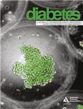 Diabetes《糖尿病》