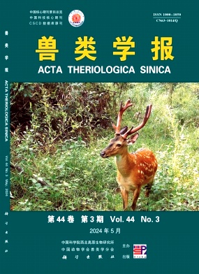 兽类学报