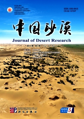 中国沙漠