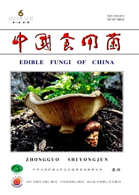 中国食用菌