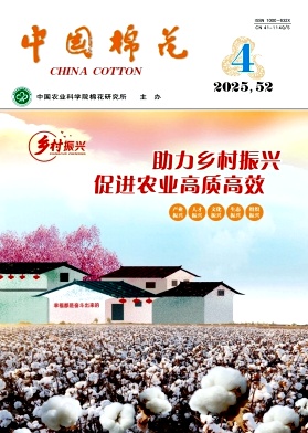 中国棉花