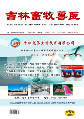 吉林畜牧兽医