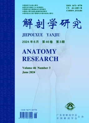 解剖学研究（原：广东解剖学通报）