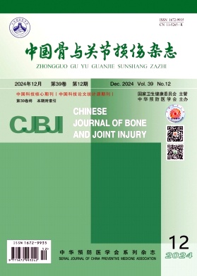 中国骨与关节损伤杂志