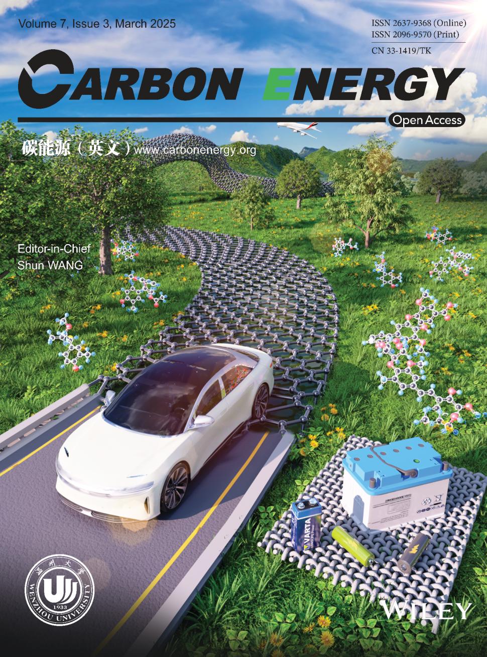 碳能源（英文）（Carbon Energy）