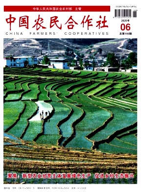 中国农民合作社（不收版面费审稿费）