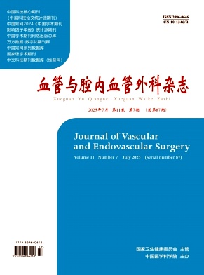 血管与腔内血管外科杂志（原：麻醉与镇痛）