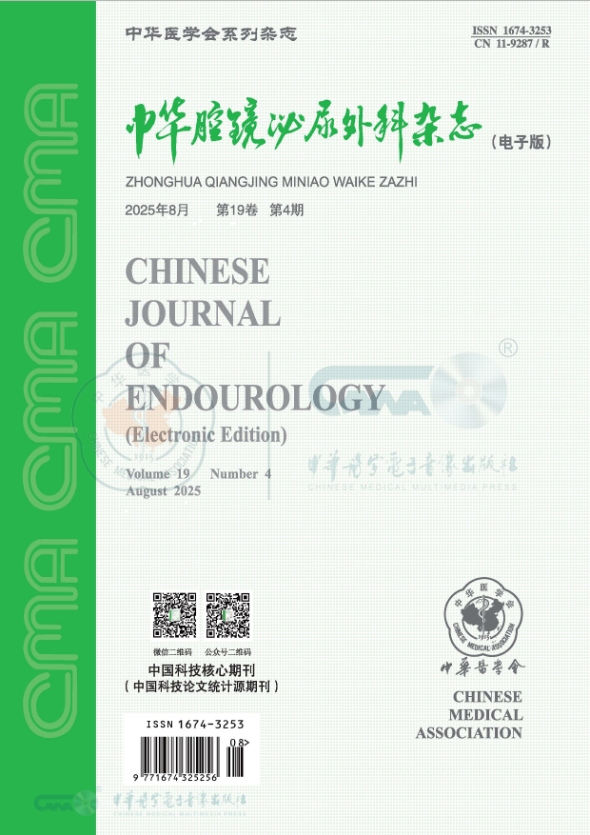 中华腔镜泌尿外科杂志（电子版）