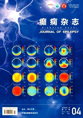 癫痫杂志（不收版面费审稿费）