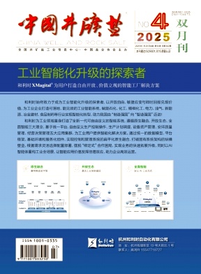 中国井矿盐