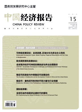 中国经济报告