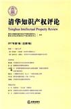 清华知识产权评论(集刊)