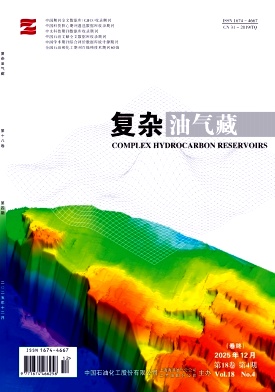 复杂油气藏