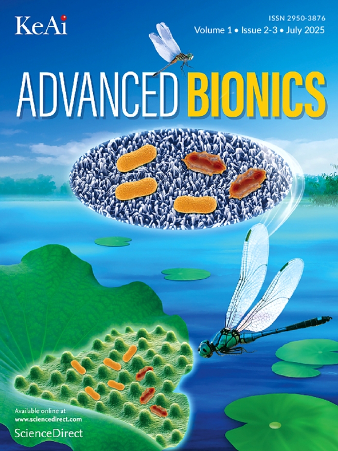 仿生前沿（英文）（Advanced Bionics）（国际刊号）（OA期刊）