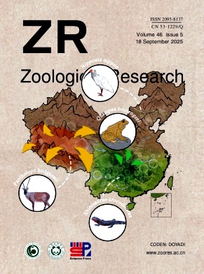 动物学研究（英文版）（Zoological Research）