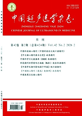中国超声医学杂志