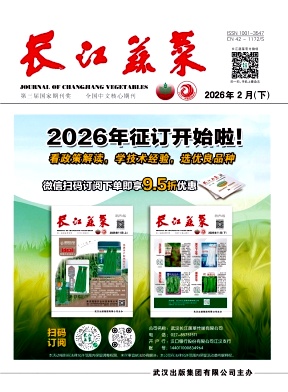 长江蔬菜