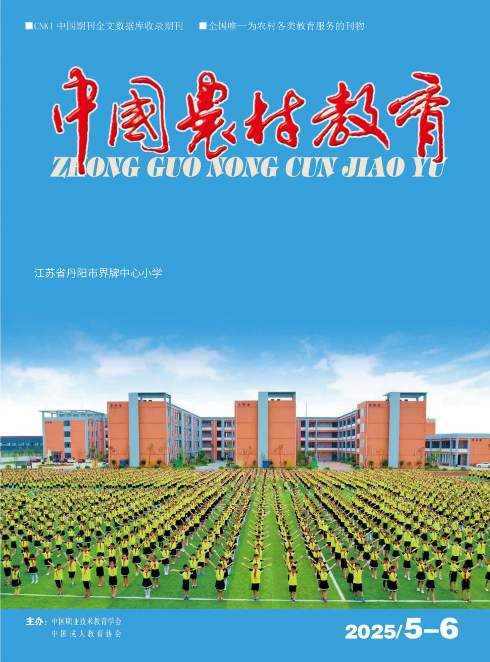 中国农村教育（内刊）