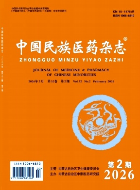 中国民族医药杂志