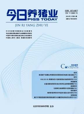 今日养猪业