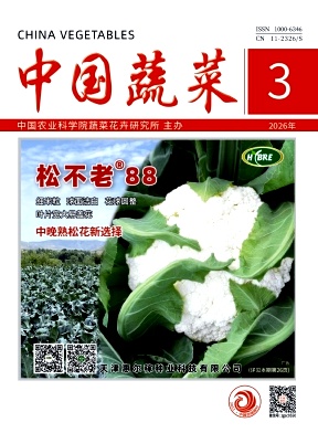 中国蔬菜