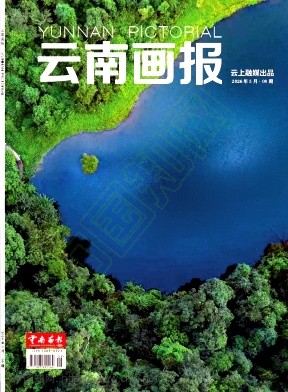 云南画报