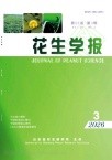 花生学报