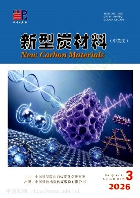 新型炭材料（中英文）