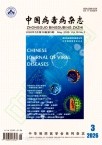 中国病毒病杂志（原：中国自然医学杂志）