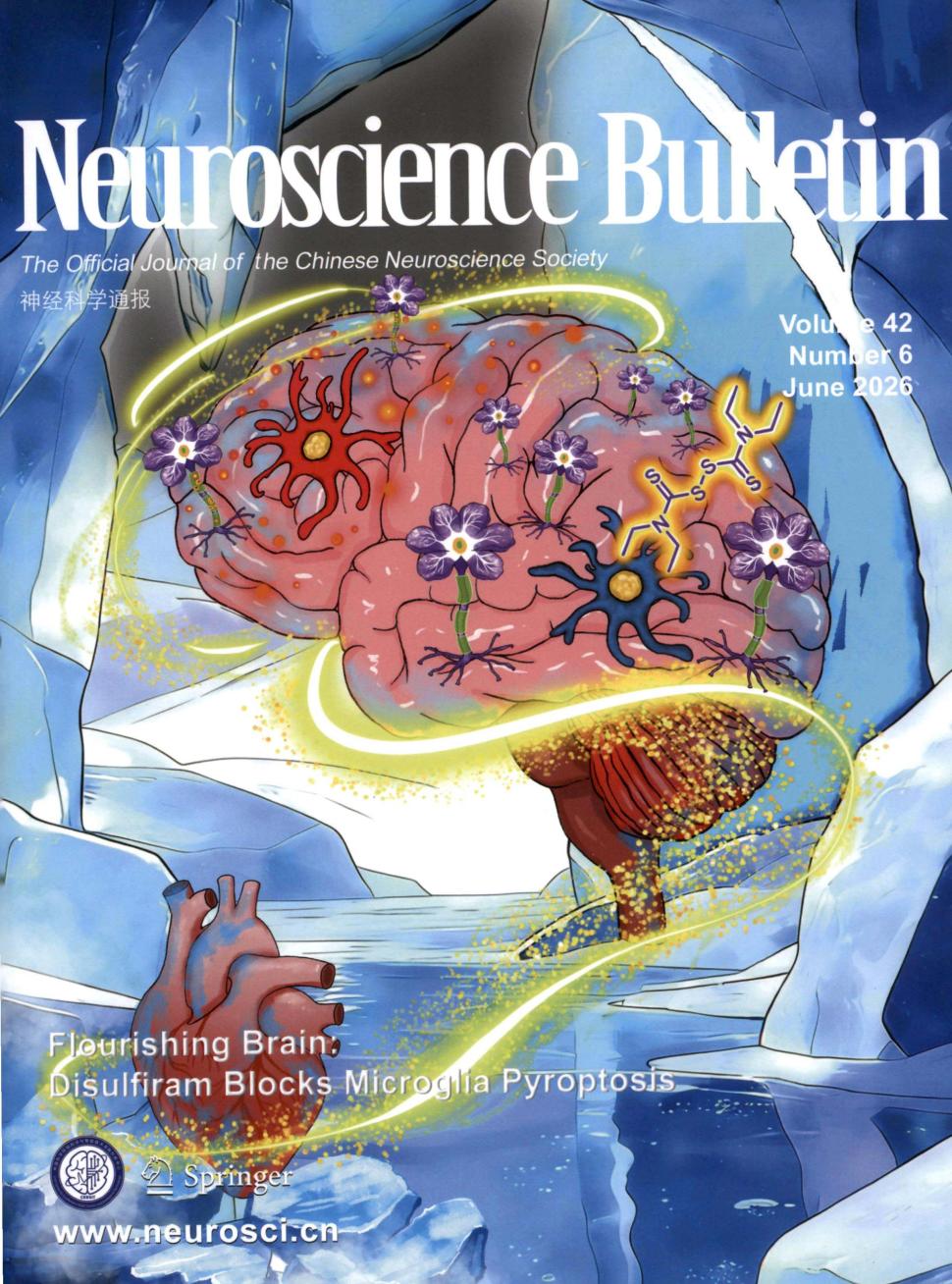 神经科学通报（英文版）（Neuroscience Bulletin）